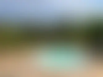 פתרונות לבריכות בגינות קטנות: איך להכניס "מעיין" לכל חצר