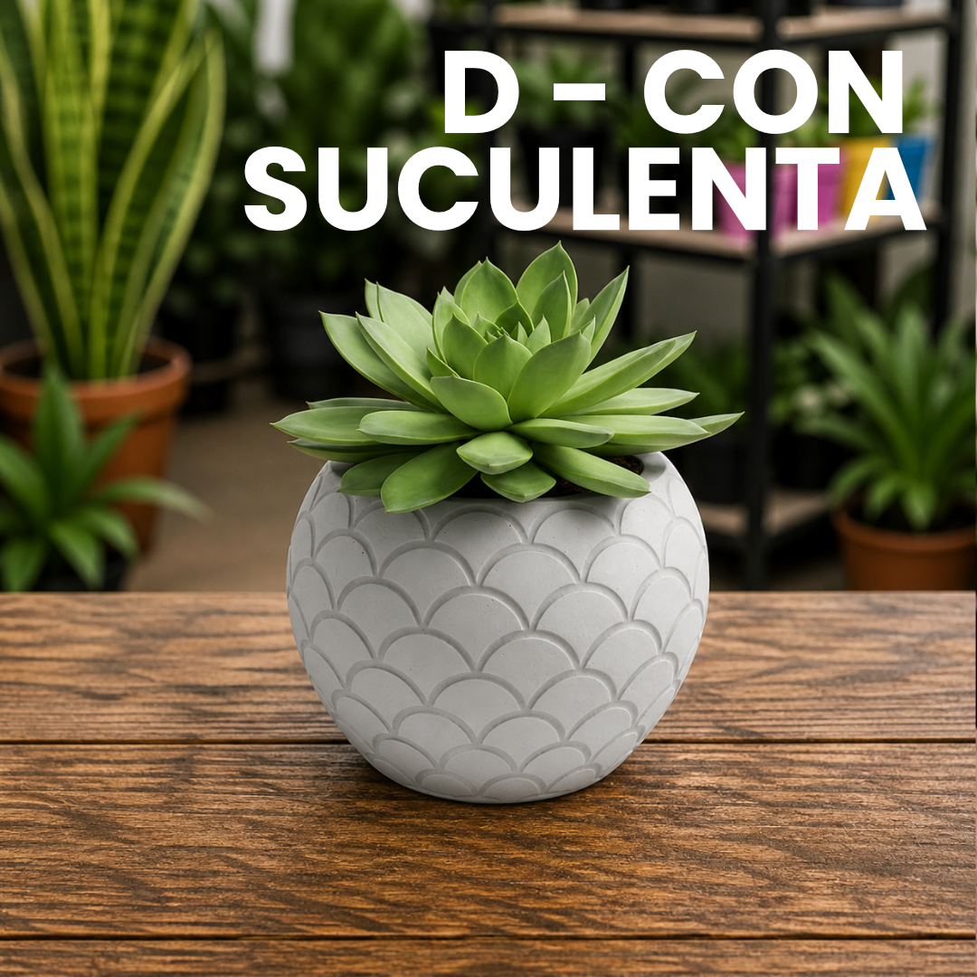 D con suculenta