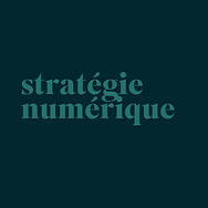 stratégie numérique le bon plan.png