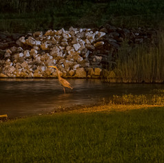 KAY_0964-Edit copy.jpg