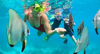 activities-snorkeling.webp