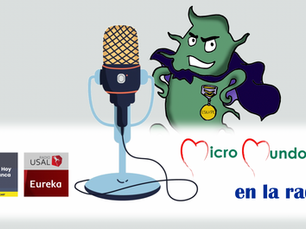 MicroMundo en CADENA SER Y Radio USAL