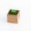 Thumbnail: The Zuma Box