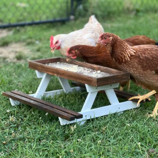 Chicknic Table - Chicken Picnic Table | BrilliantJo-B