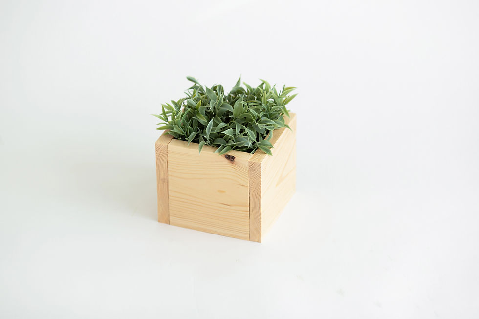 Thumbnail: The Pine