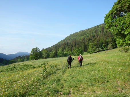 Les crêtes de Sur Lyand