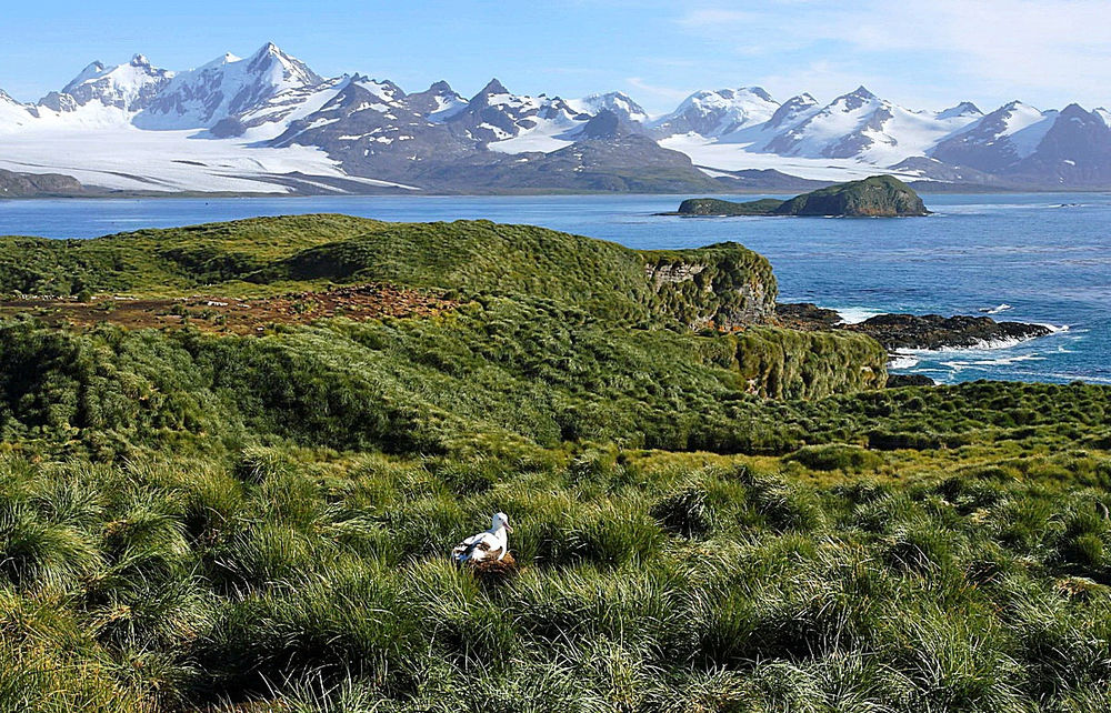 Atlantic Odissey La du Sud 2