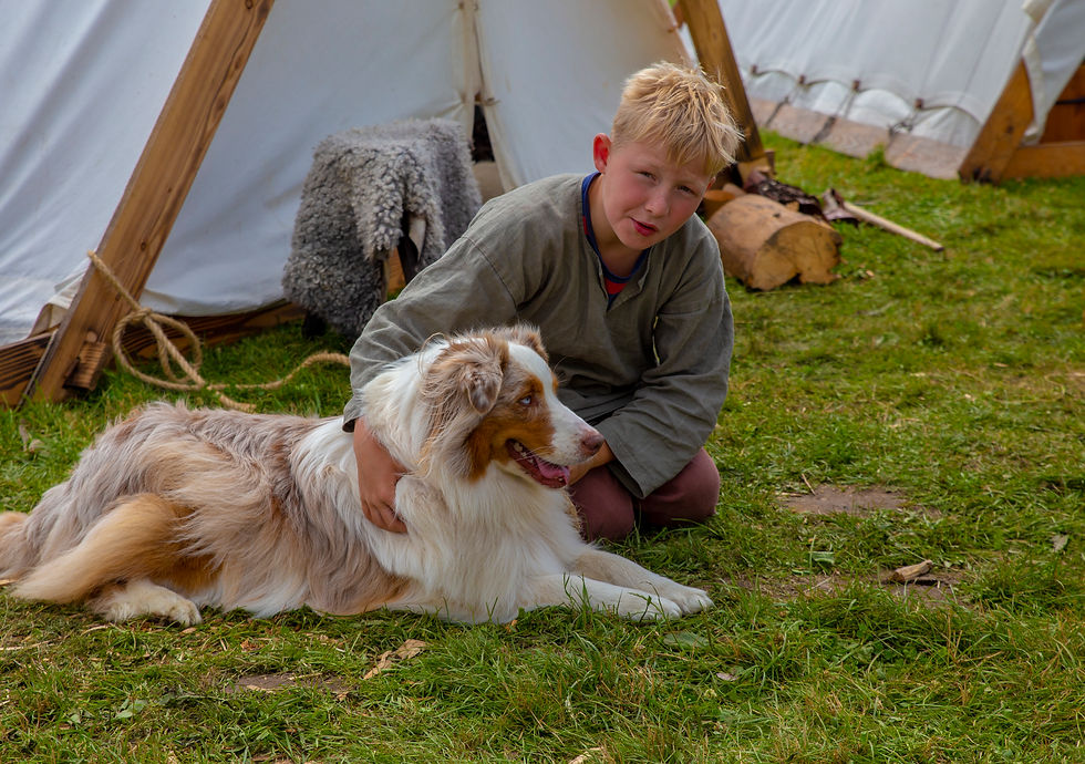 Fyrkat vikingemarked 2019