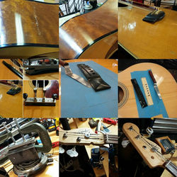 16664950_176387496186287_8229224315546961924_o