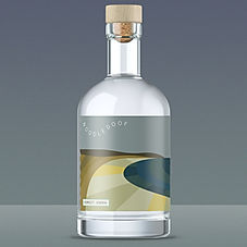 Two Birds IPA - Holly Allen.png