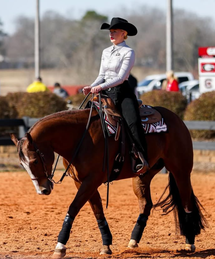 Screenshot 2025-08-09 at 9.07.04 AM.png