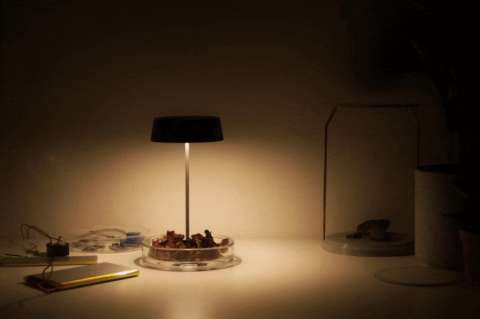 untitled image