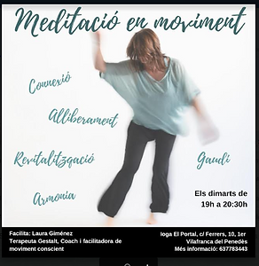 MEDITACIÓ EN MOVIMENT.PNG