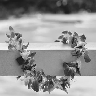 Volume 39, Issue 154