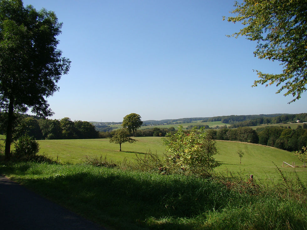 Waldmythenweg_1 Fotograf Maren Pussak, D