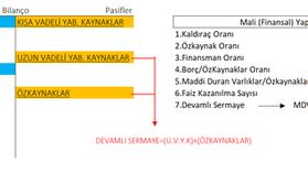 Mali (Finansal) Yapı Oranları (#analiz.2)