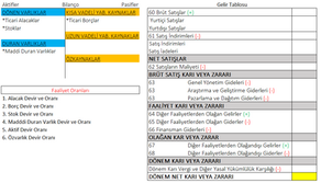 Faaliyet Oranları (#analiz.3)