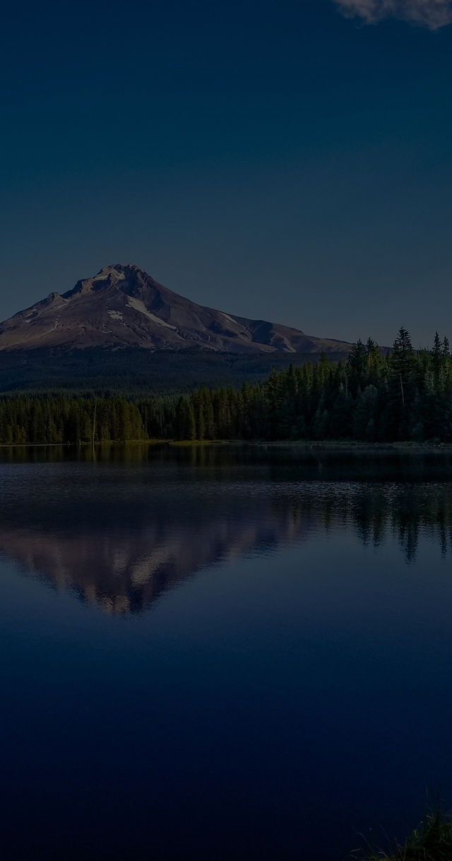 希少　SEMI HOBIX Fox 897-27409 897-27-209 IFP shocks for HD Touring Models