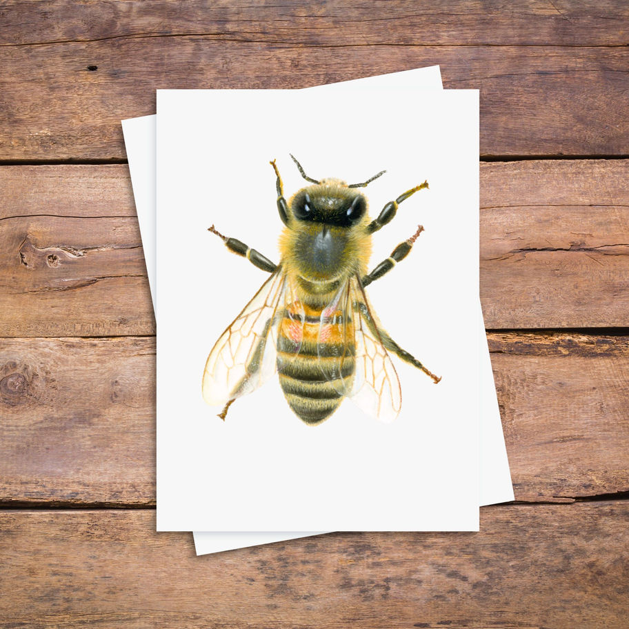 Ansichtkaart honingbij