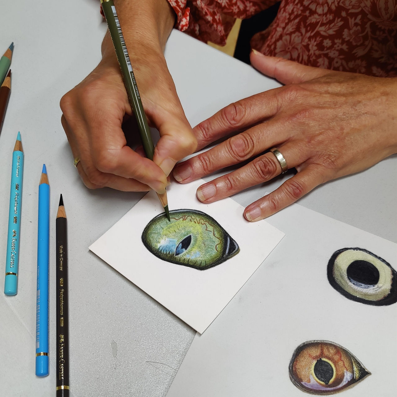 Oog tekening van een kat tijdens tekenworkshop