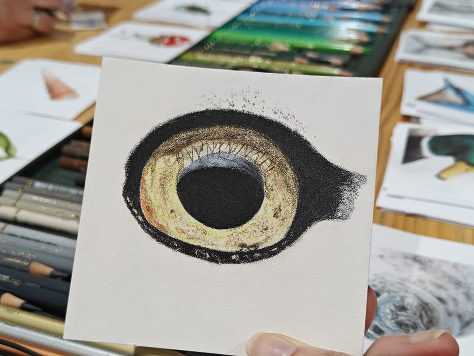 Kreadoe workshop natuurtekenen