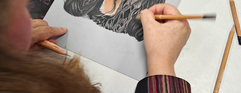 Hond getekend door cursist met kleurpotlood