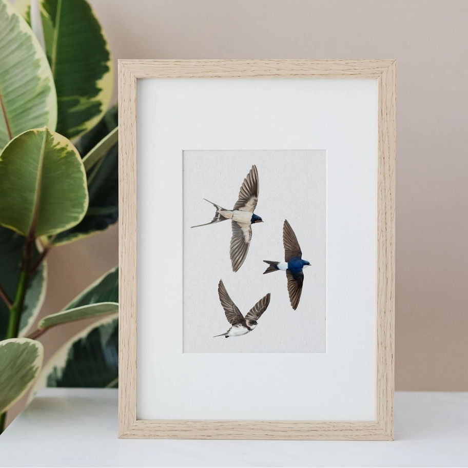 Ingelijste kunstprint zwaluwen