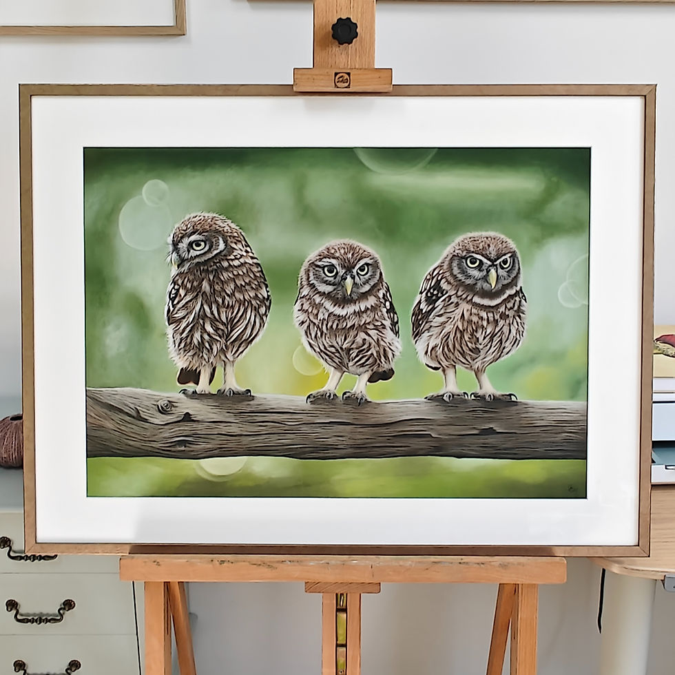 Originele tekening van steenuilen door Rebecca Engels