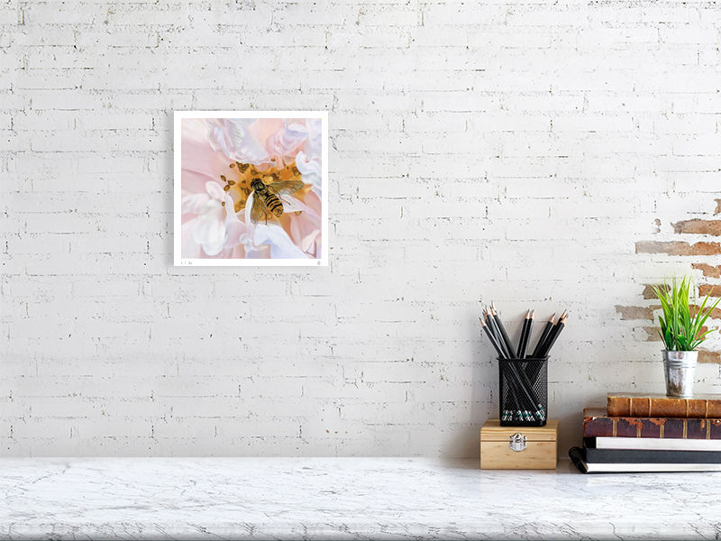 Giclee print van pasteltekening van een pioenroos