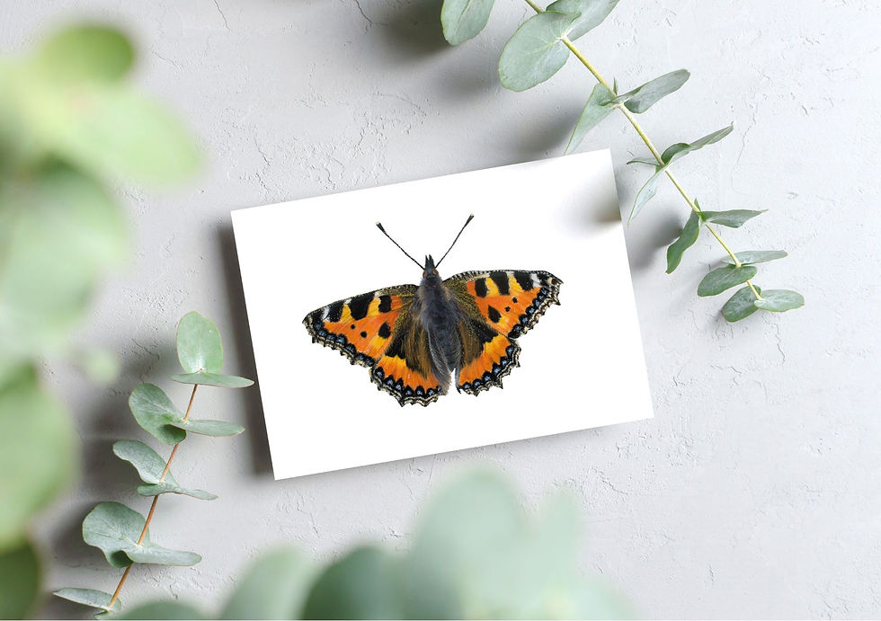 Giclee print van kleine vos getekend door Rebecca Engels