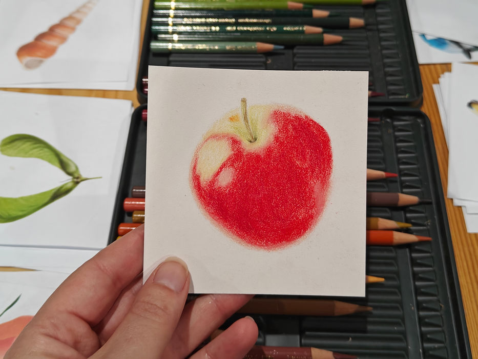 Kreadoe workshop natuurtekenen