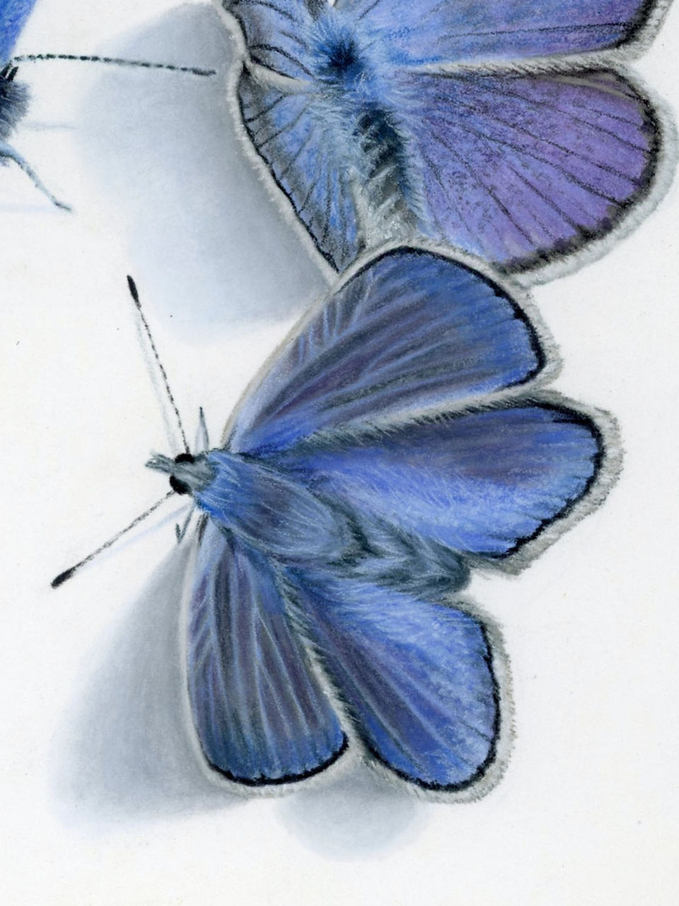 Detail van Giclee print