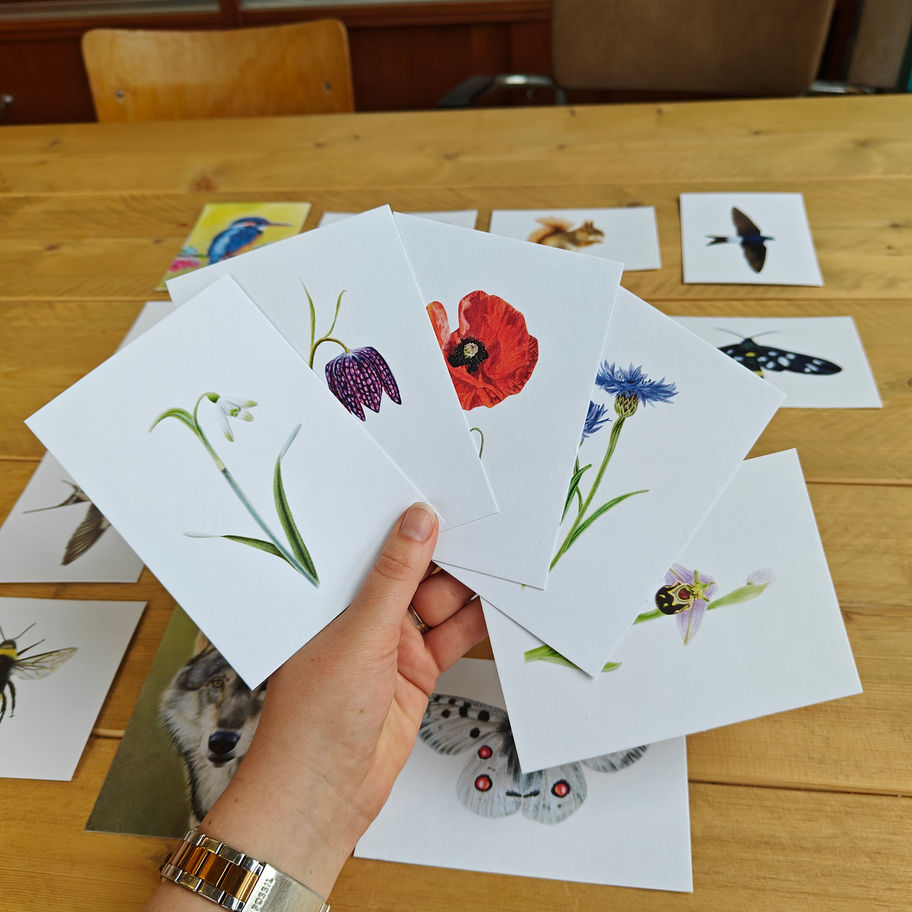 Ansichtkaarten van bloemen