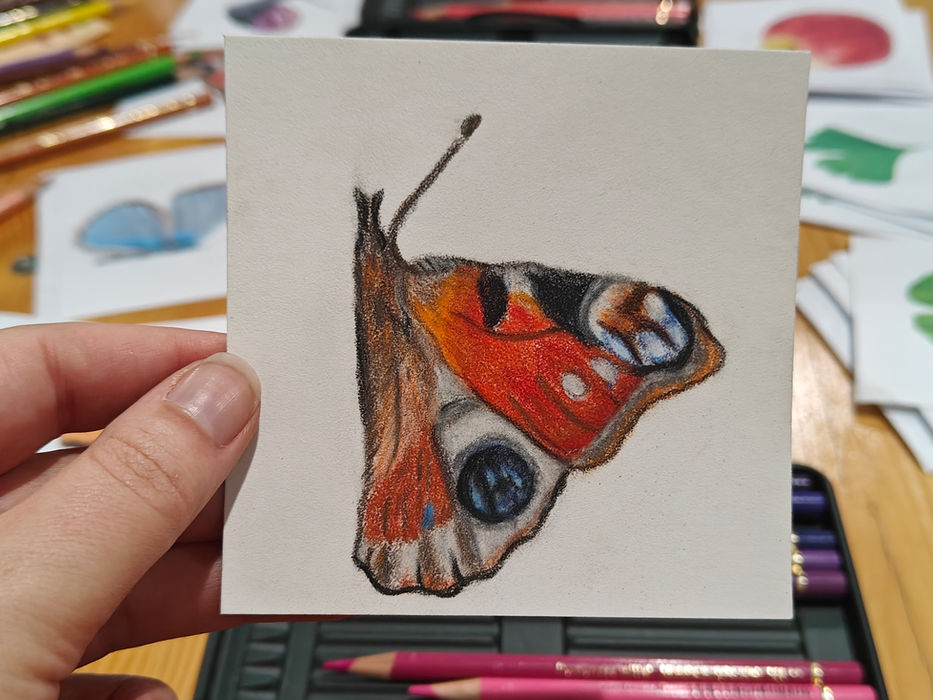 Kreadoe workshop natuurtekenen