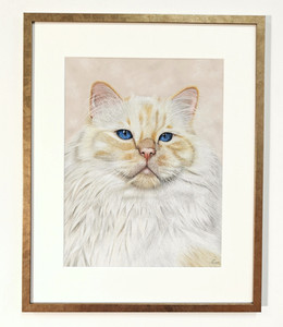 Ragdoll kat getekend in opdracht