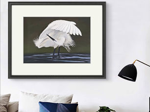 Natuurtekening kopen