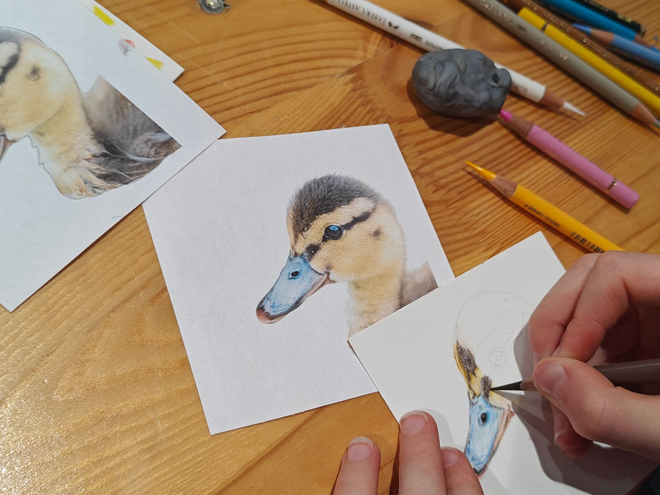 Kreadoe workshop natuurtekenen