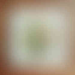 Ingelijste koolmees getekend door Rebecca Engels