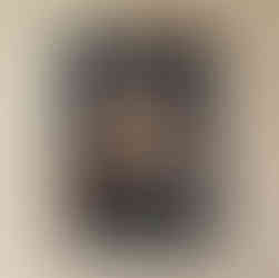 Paardenportret in opdracht