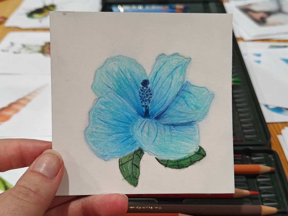 Kreadoe workshop natuurtekenen