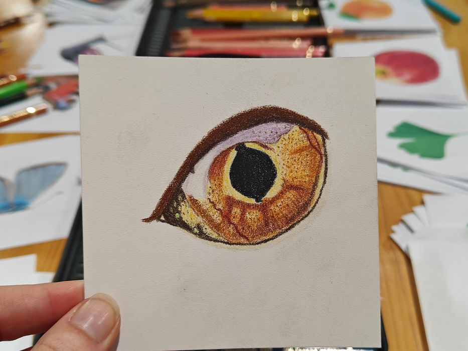 Kreadoe workshop natuurtekenen