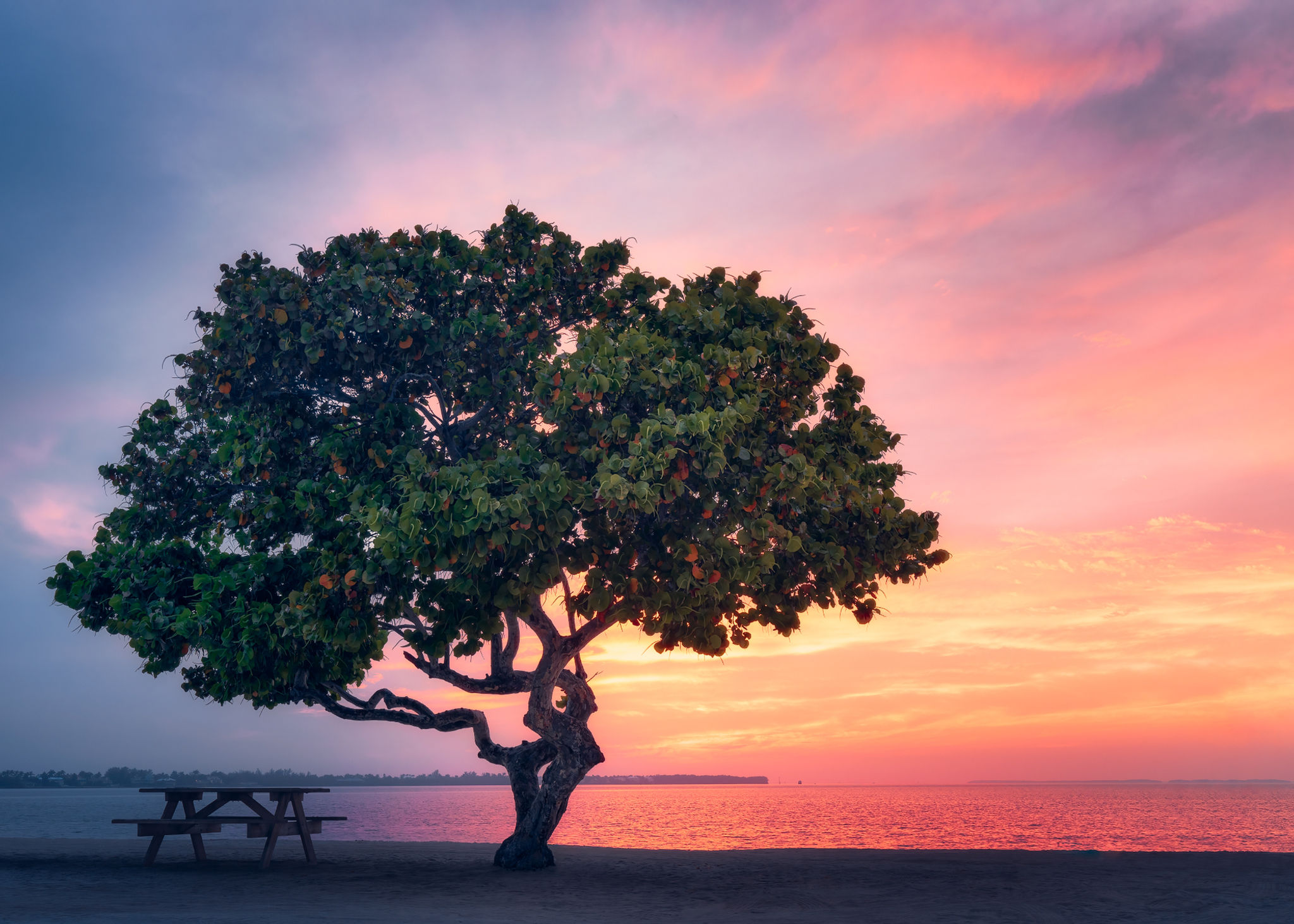 Sunset on the Causeway
