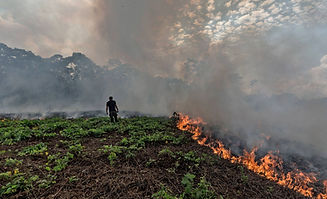 Effects of Climate Change