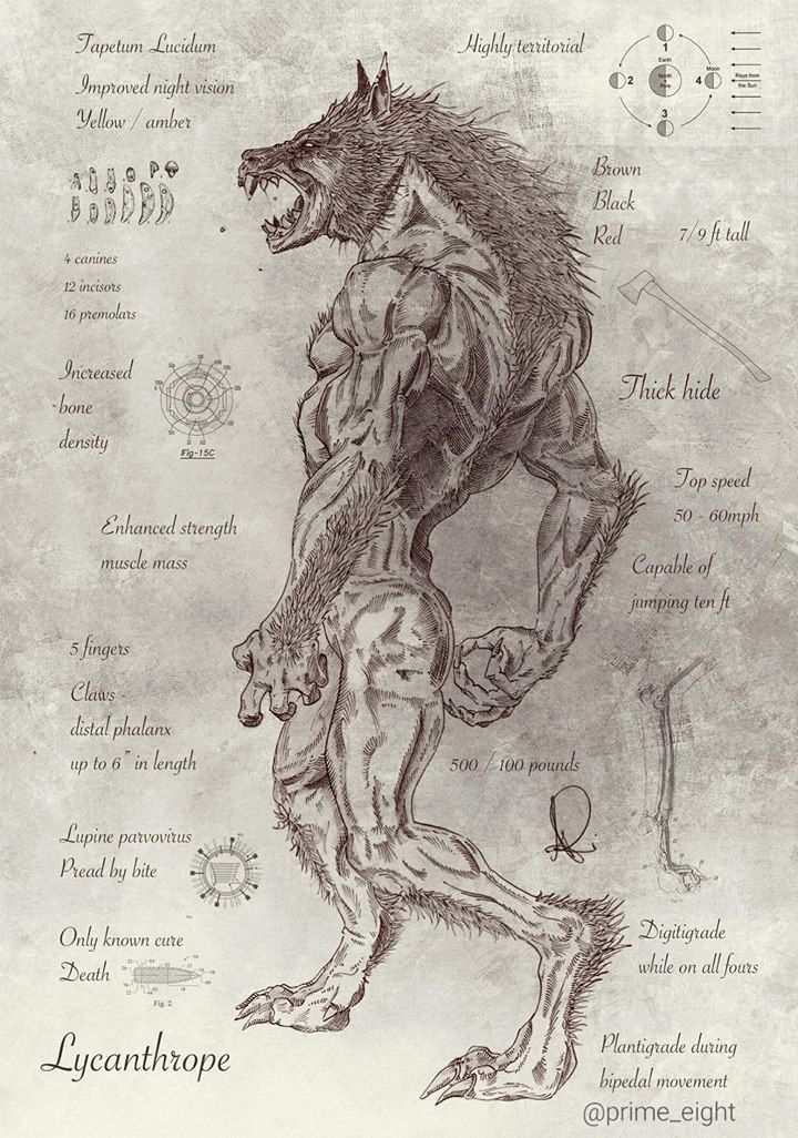 Loup Garou.jpg