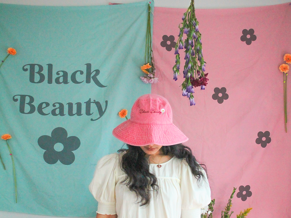 The Black Beauty Collection by Jurnfern Art
