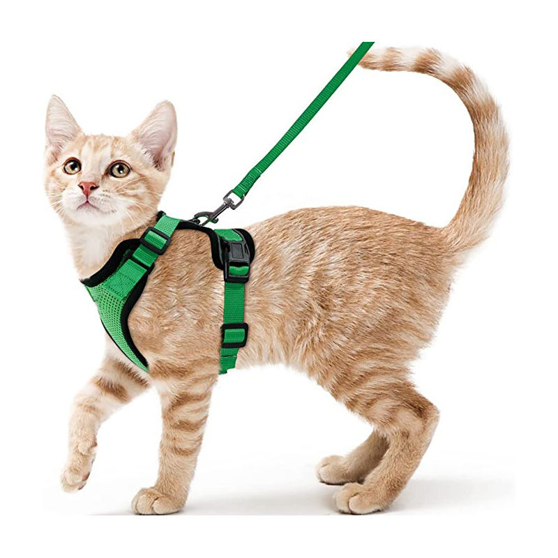 Thumbnail: Cat Harness and Leash for Walking