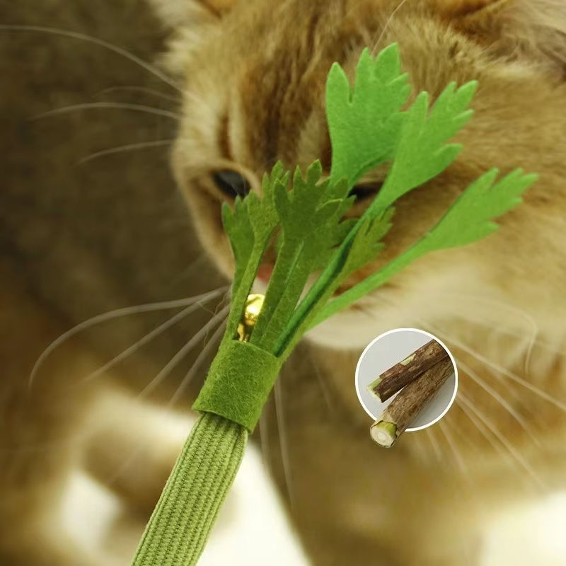 Thumbnail: Cat Chew Toys Catnip