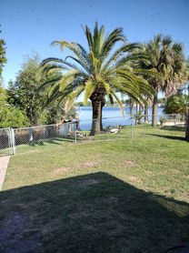 Large fenced in backyard