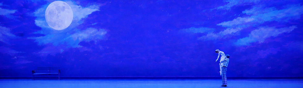 Moon light Site GPT_edited_edited.jpg