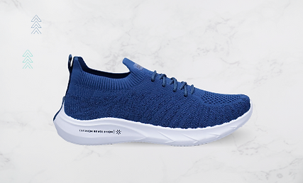 camro shoes (457 x 275 px).png